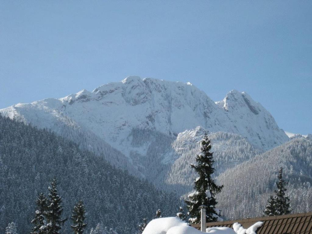 Apartments Zakopane Center Экстерьер фото